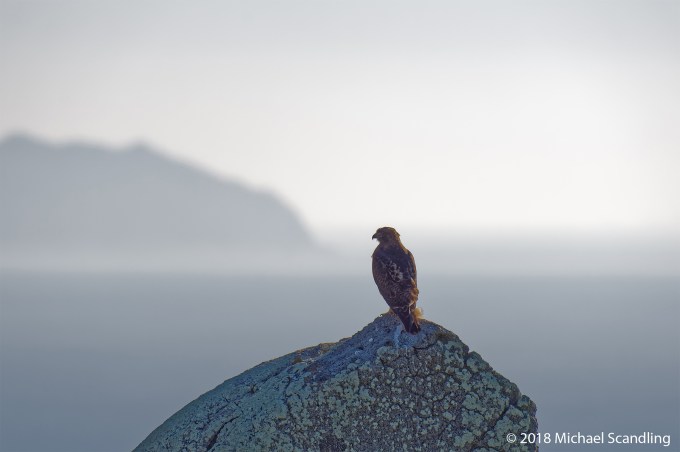 DSC_8225_DxO11FCBlog