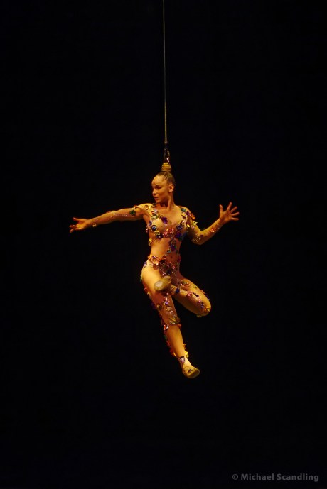 IMG_6365_DxO11FCiPadL