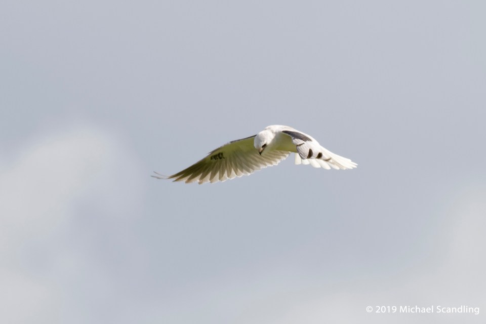 _DSC4695_DxO11FCBlog