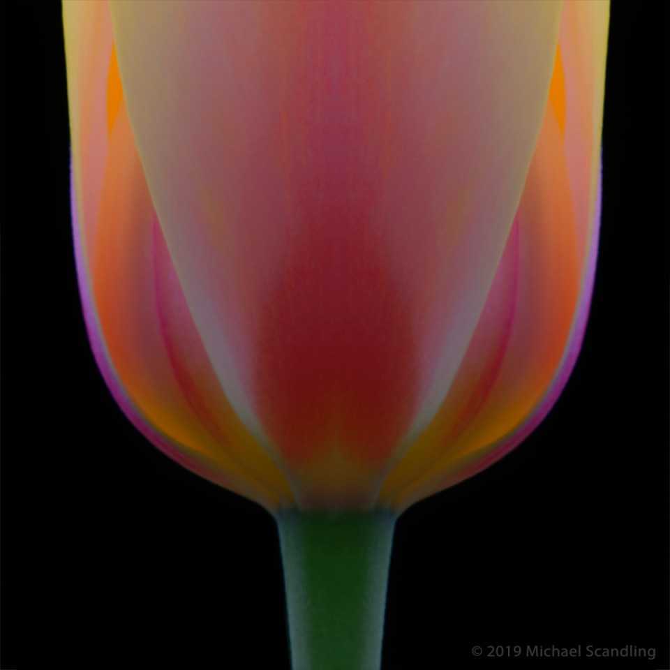 _DSC5740_DxO11FC2ASqBlog