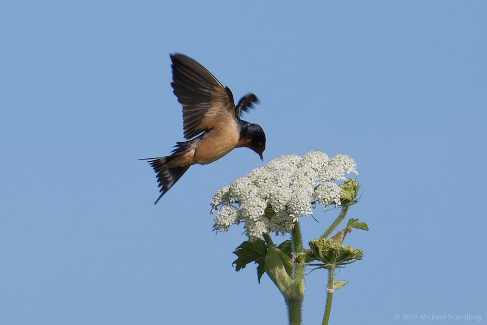 DSC_0723_DxO11FCBlog