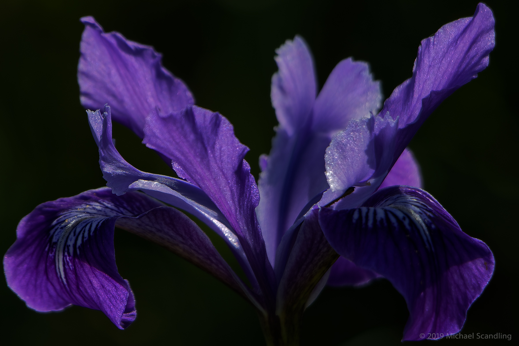 Point Reyes 2: One of Many – AMAGA Photography Blog