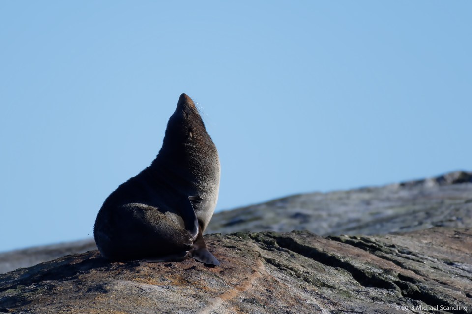 DSC_6057_DxO11FCBlog