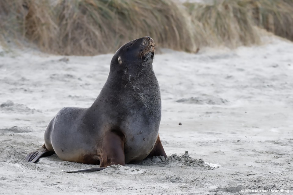 DSC_6251_DxO11FCBlog