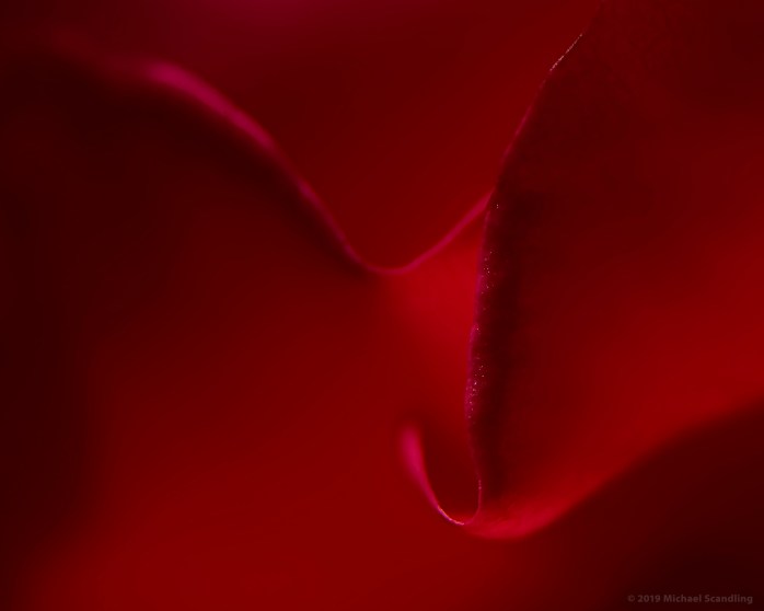 _DSC6669_DxO11FC1Blog