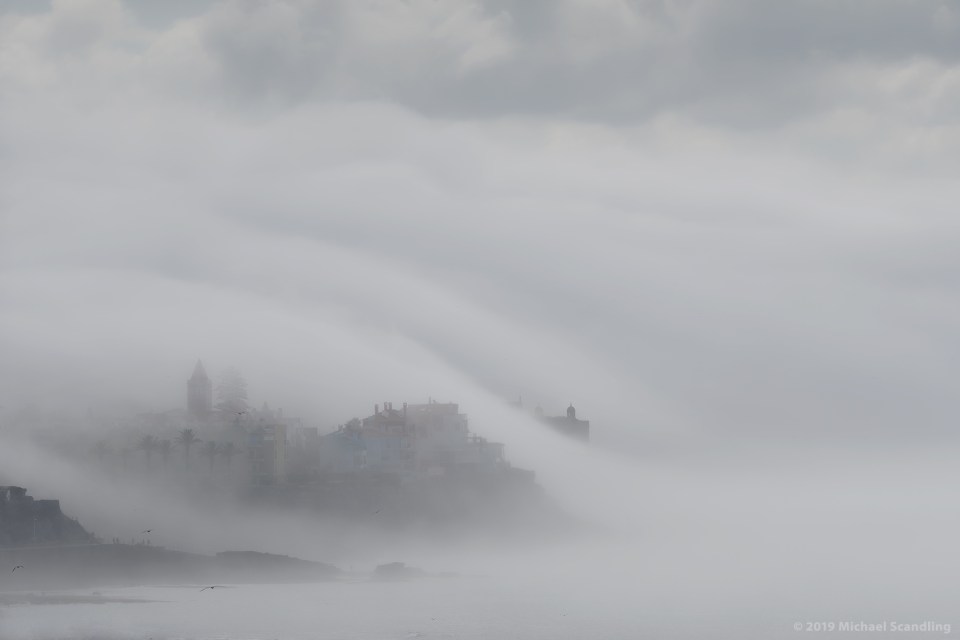 DSC_1445_DxO11-1FC1Blog