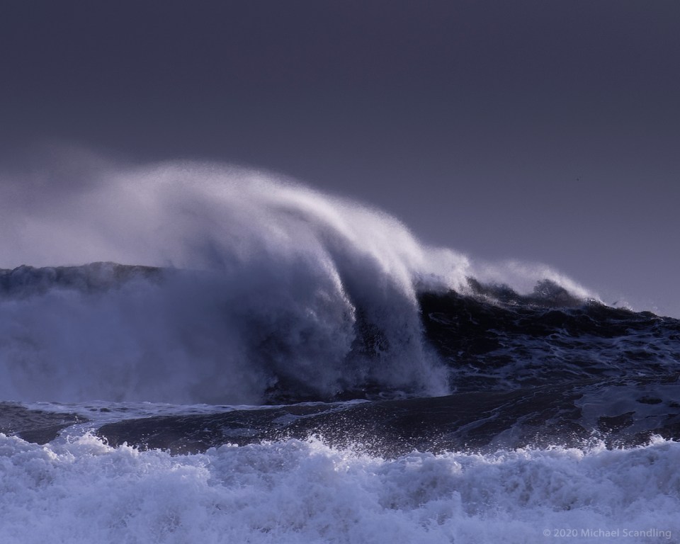 _DSC0296_DxO11FC1Blog