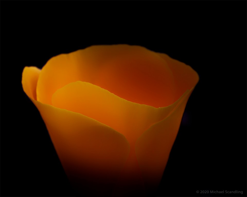 _DSC2116_DxO11FC2Blog