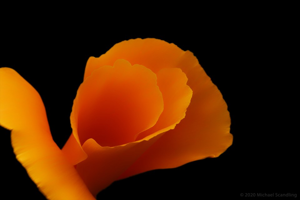 DSC_5796_DxO11FC1Blog